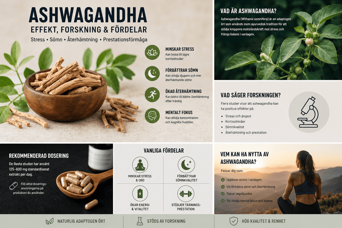 Ashwagandha – Effekt, forskning & fördelar | TP-butiken - TRÄNING & PERFORMANCE BUTIKEN