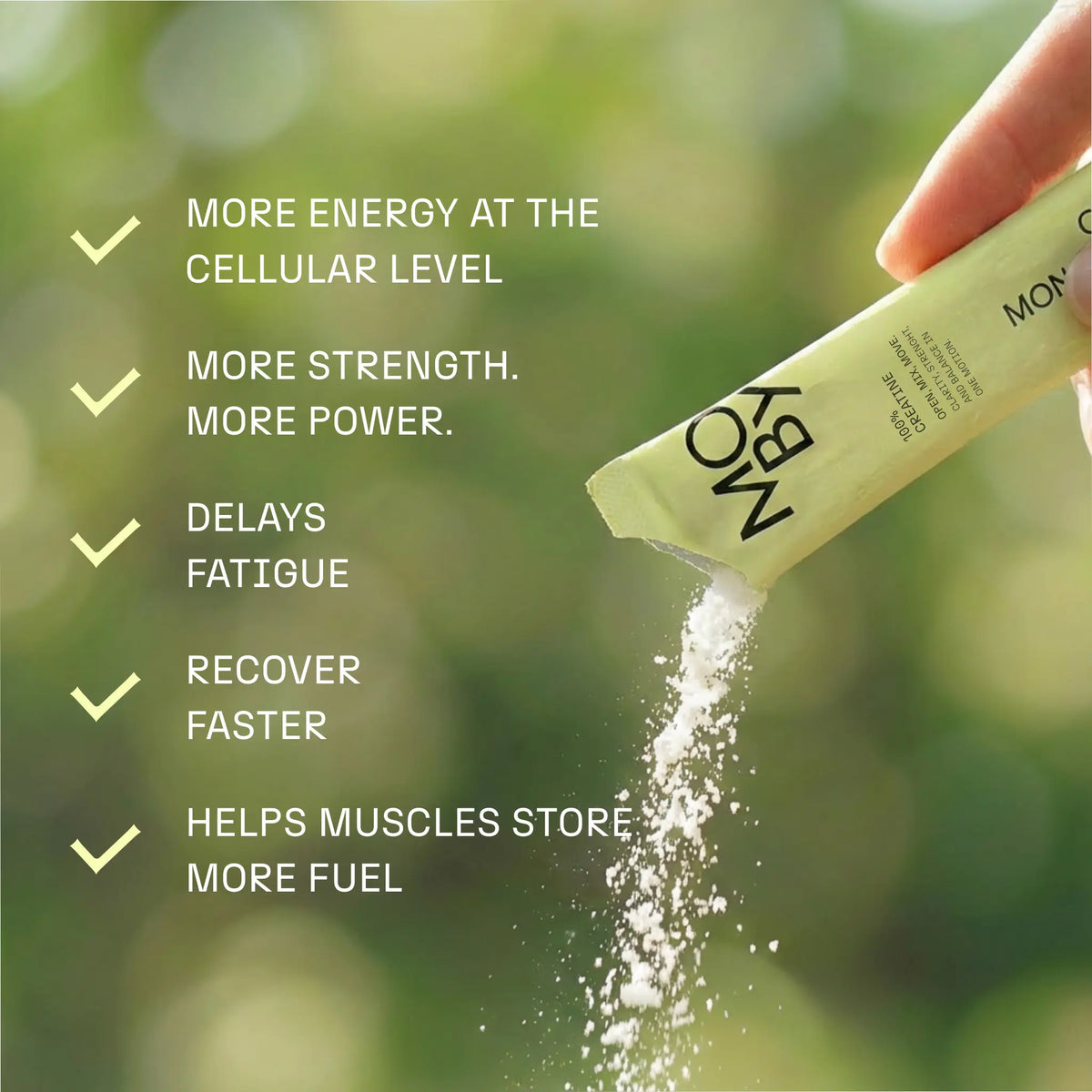 Creatine Monohydrate (30 st praktiska portionsförpackningar)