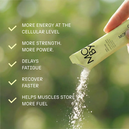Creatine Monohydrate (30 st praktiska portionsförpackningar)