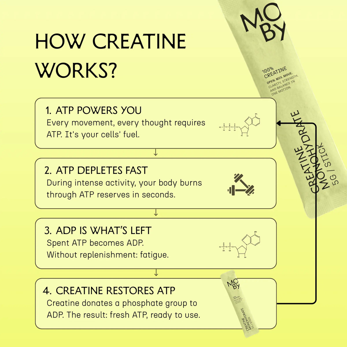 Creatine Monohydrate (30 st praktiska portionsförpackningar)