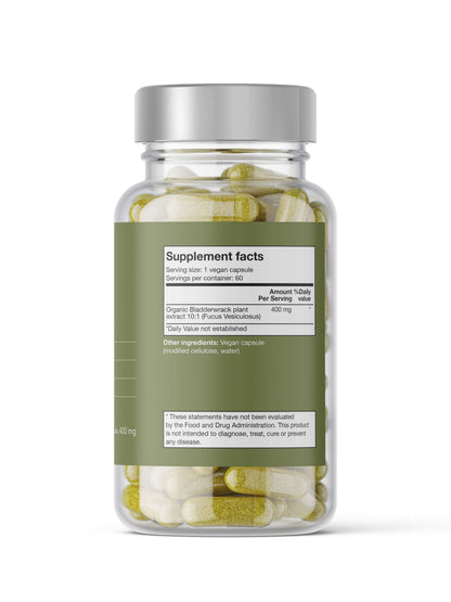 Bladderwrack Noop