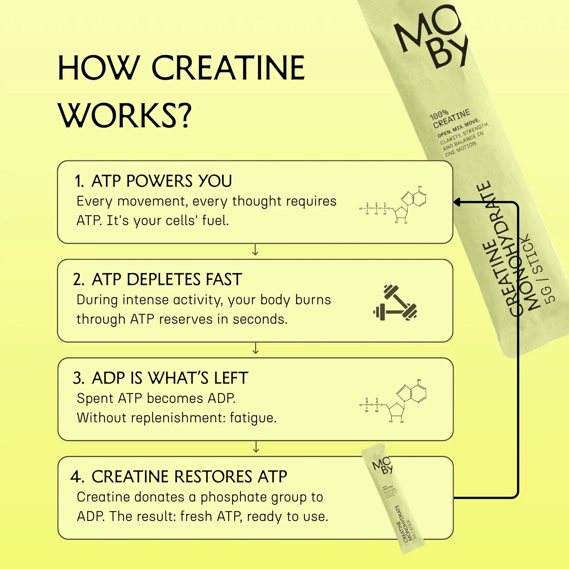 Creatine Monohydrate (30 st praktiska portionsförpackningar) - TRÄNING & PERFORMANCE BUTIKEN