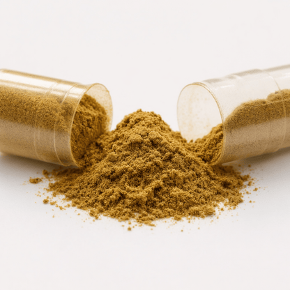 Fadogia Agrestis 60 capsules - NOOP - TRÄNING & PERFORMANCE BUTIKEN