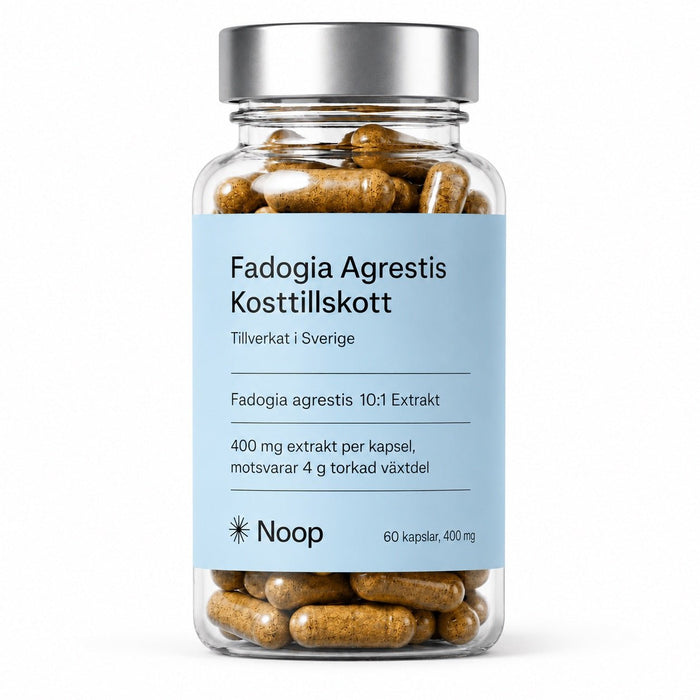 Fadogia Agrestis 60 capsules - NOOP