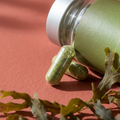 Irish moss, Bladderwrack & Burdock Root Noop - TRÄNING & PERFORMANCE BUTIKEN