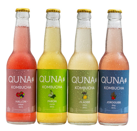 Kombucha (24 st) - TRÄNING & PERFORMANCE BUTIKEN