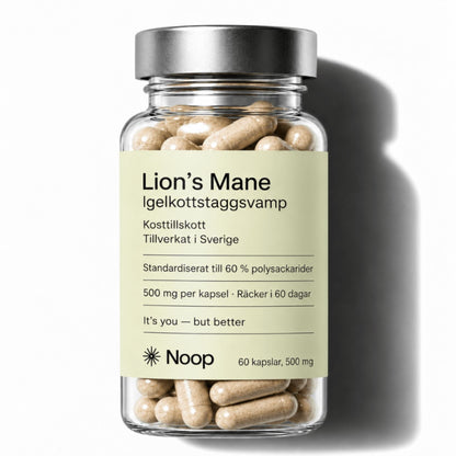 Lion's Mane Noop - TRÄNING & PERFORMANCE BUTIKEN