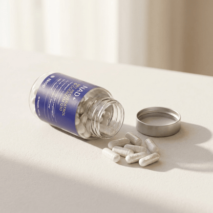 NAD+ Komplex Med Resveratrol & CoQ10 Noop - TRÄNING & PERFORMANCE BUTIKEN
